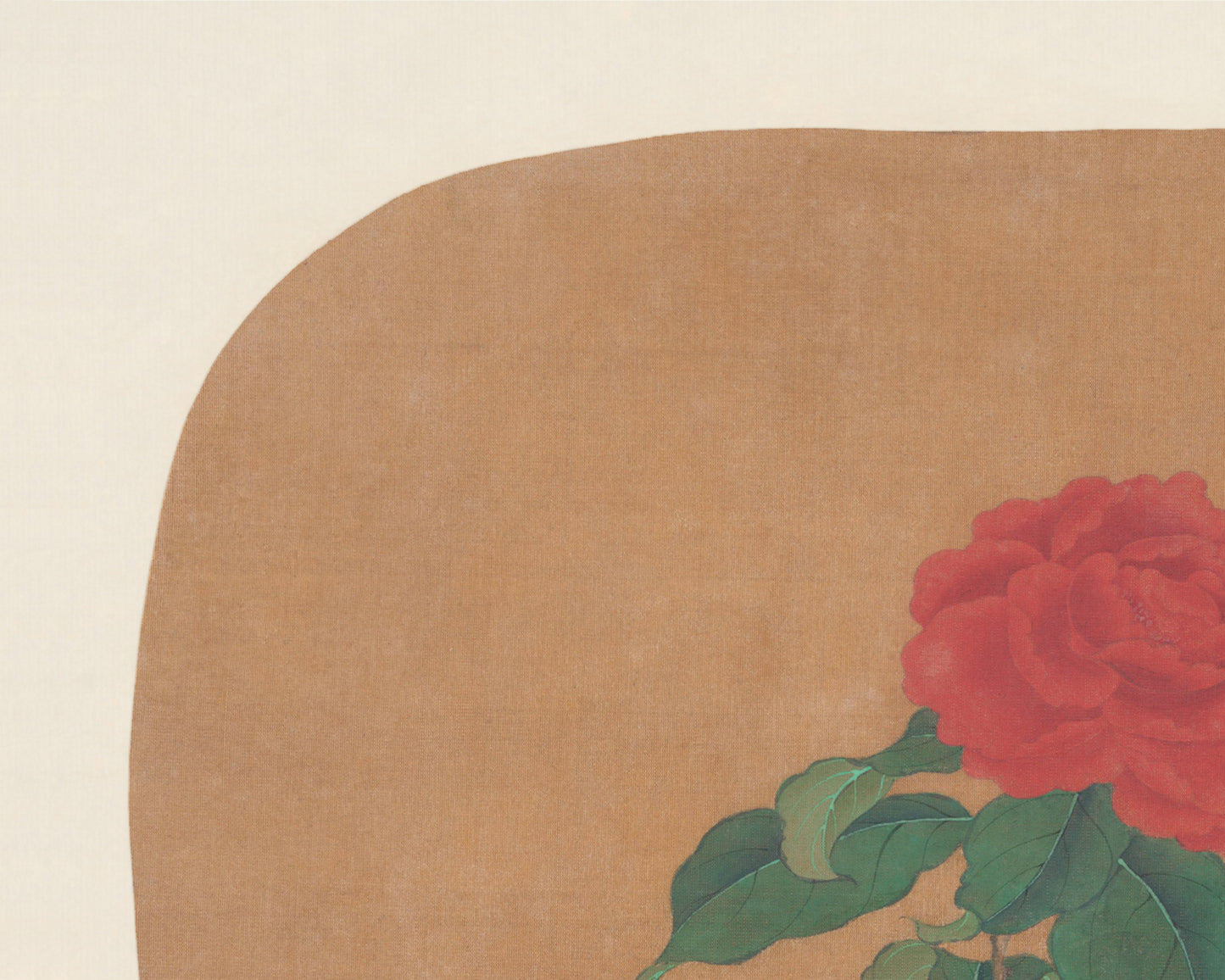 Camellia Flowers Fan Art Print