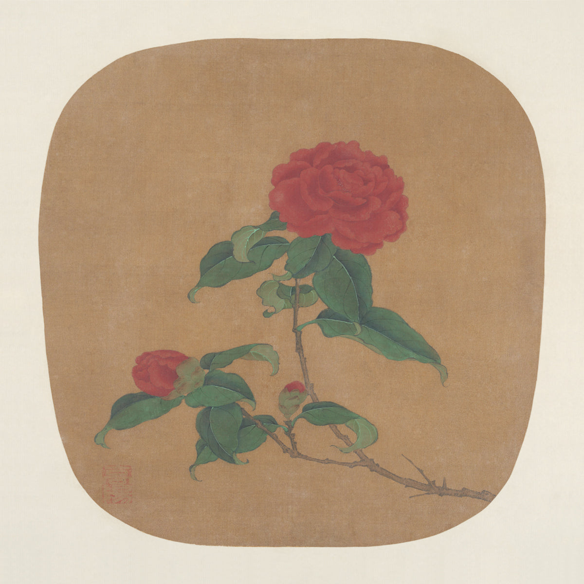 Camellia Flowers Fan Art Print