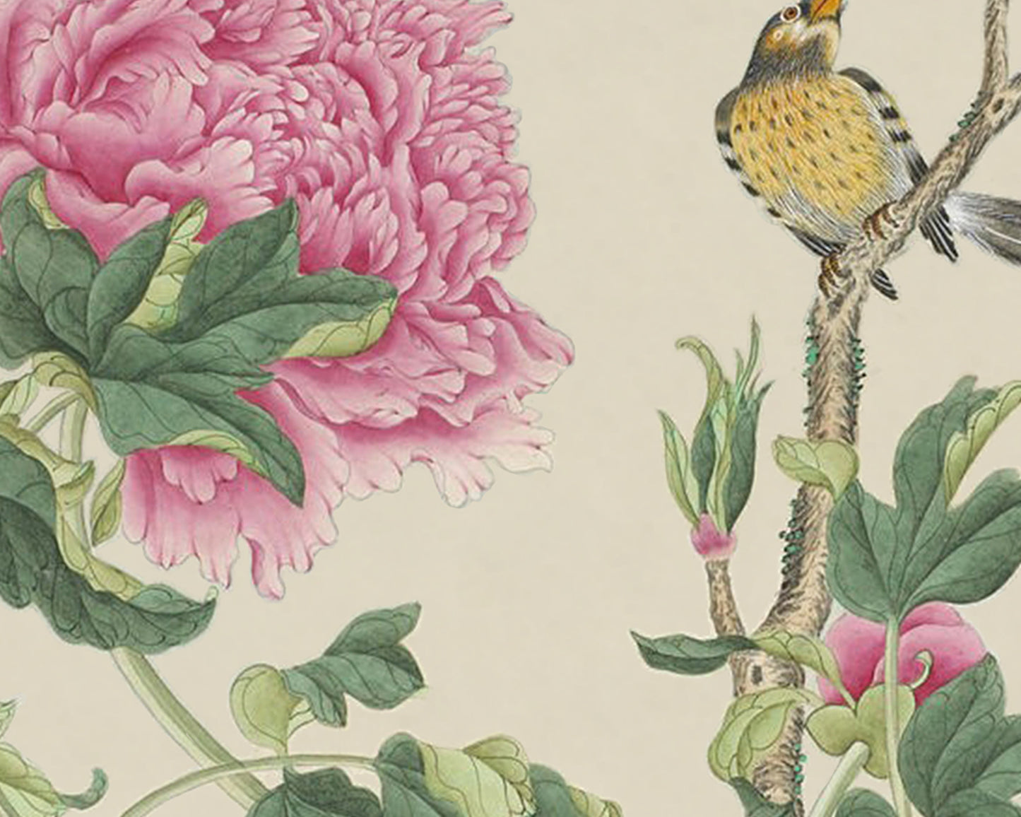 Chinese Flowers and Birds Art Print #11