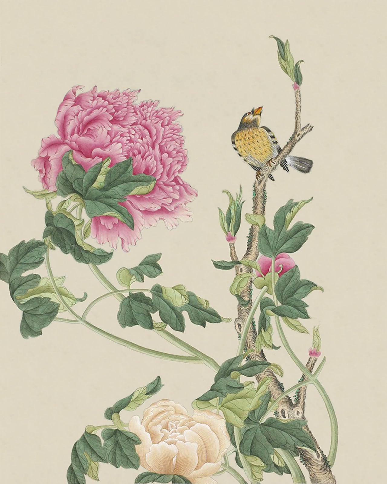 Chinese Flowers and Birds Art Print #11