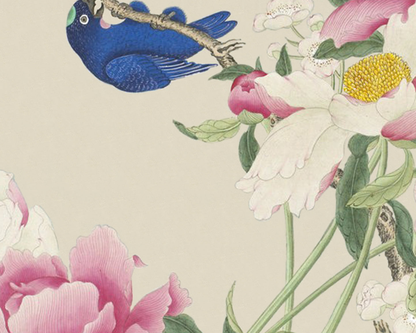 Chinese Flowers and Birds Art Print #5