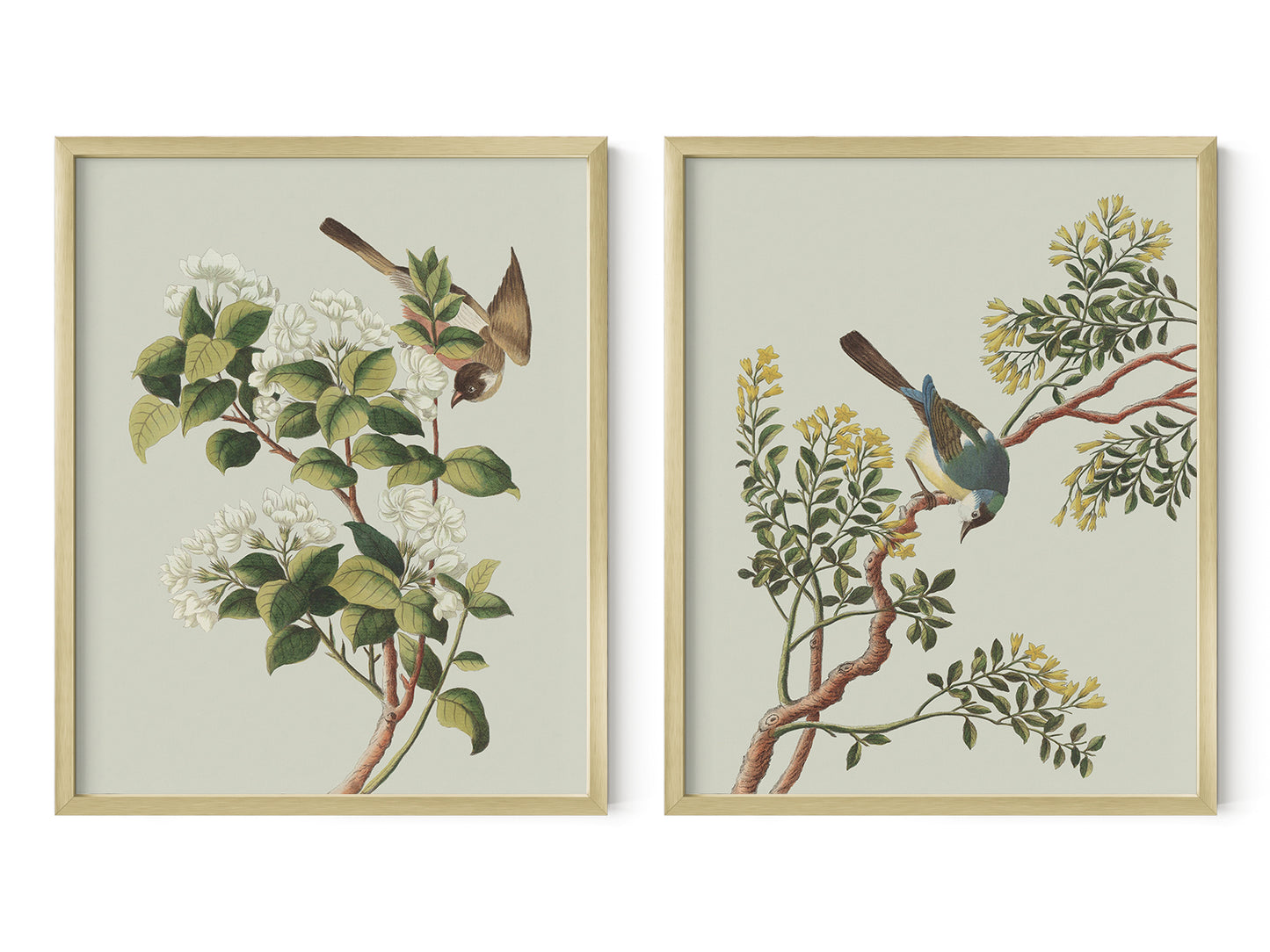 Garden Birds & Flowers Art Prints - Set of Two
