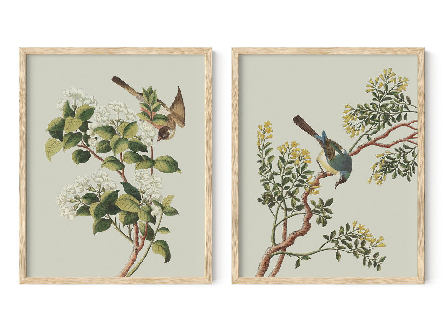 Garden Birds & Flowers Art Prints - Set of Two