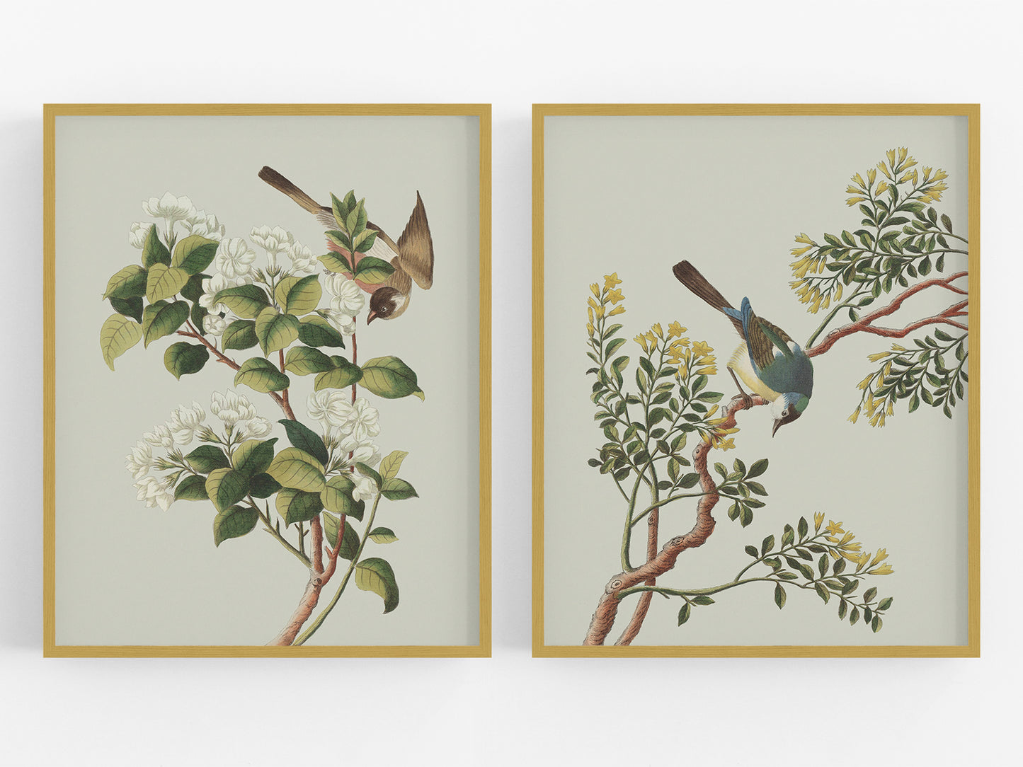 Garden Birds & Flowers Art Prints - Set of Two