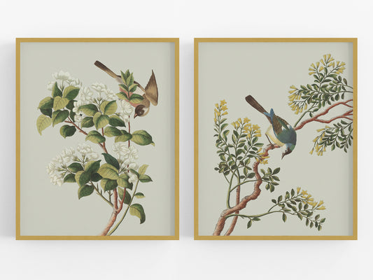 Garden Birds & Flowers Art Prints - Set of Two
