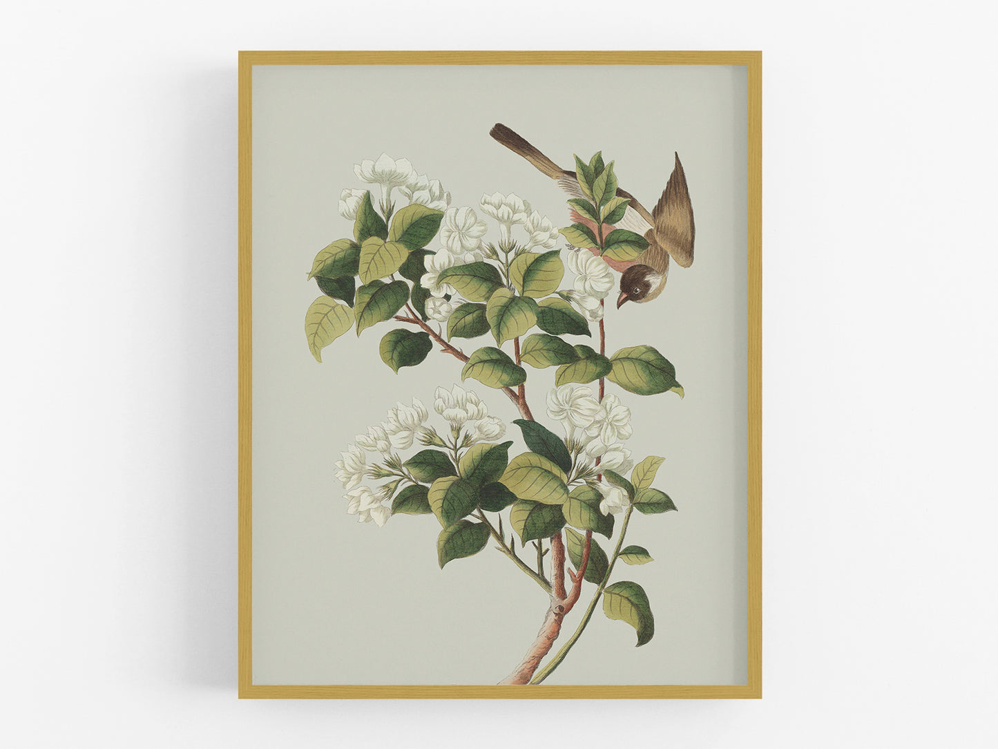 Garden Birds & Flowers Art Print #2
