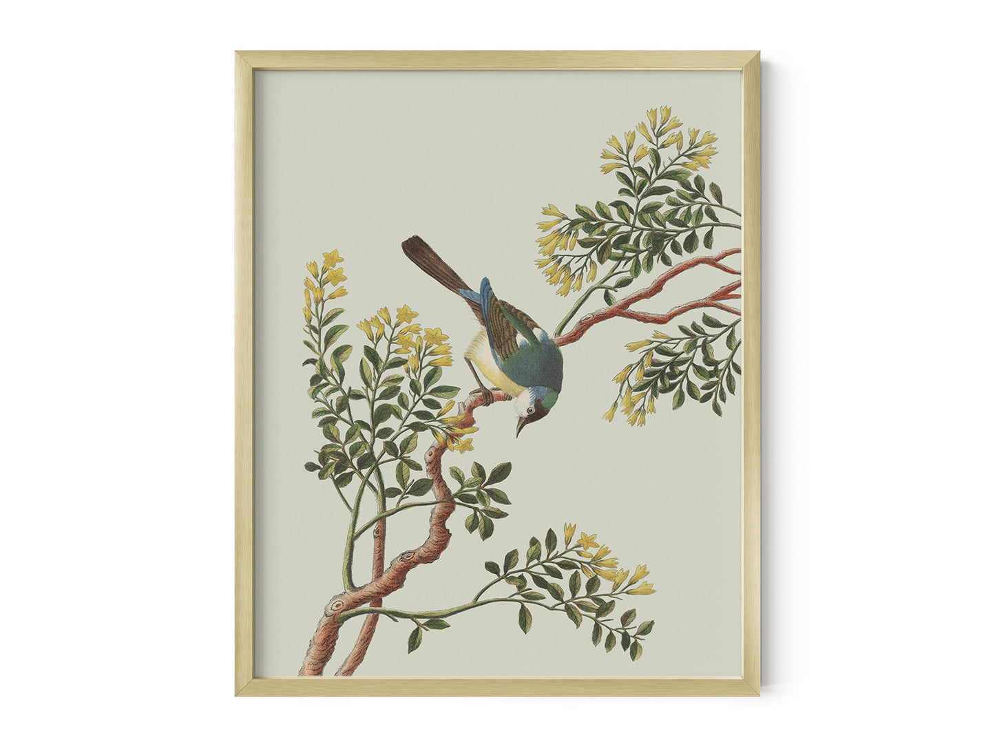 Garden Birds & Flowers Art Print #1