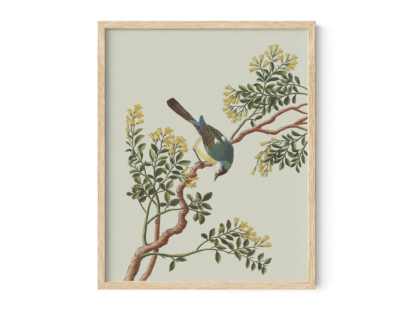 Garden Birds & Flowers Art Print #1