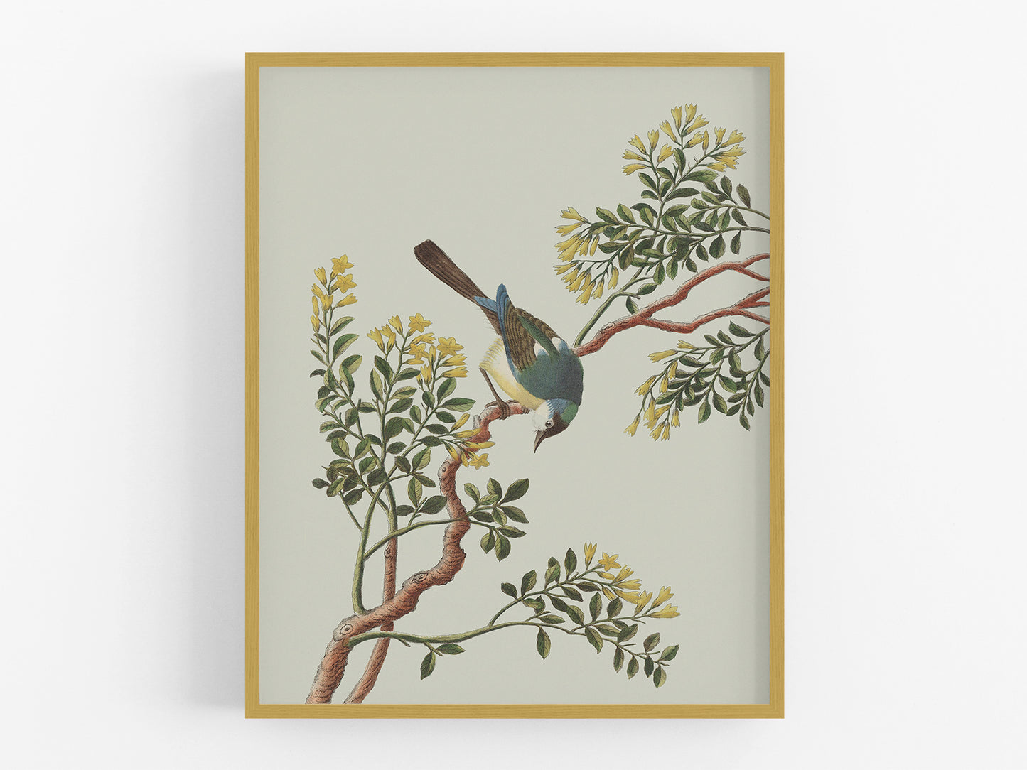 Garden Birds & Flowers Art Print #1