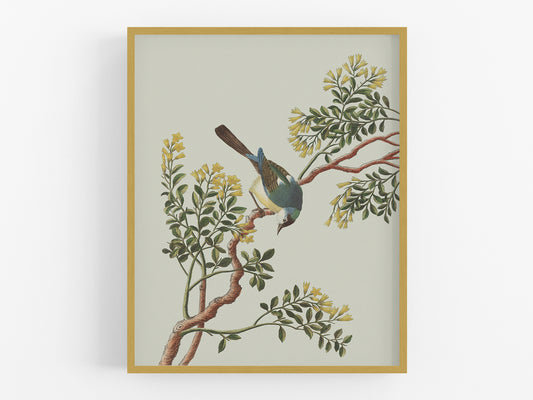 Garden Birds & Flowers Art Print #1