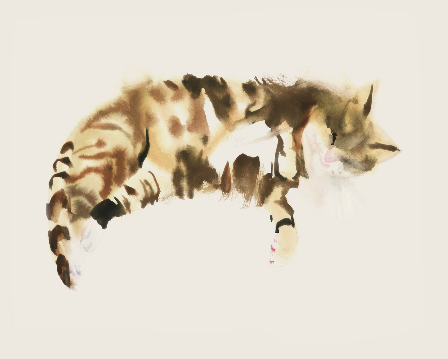 Sleeping Tiger Cat Art Print