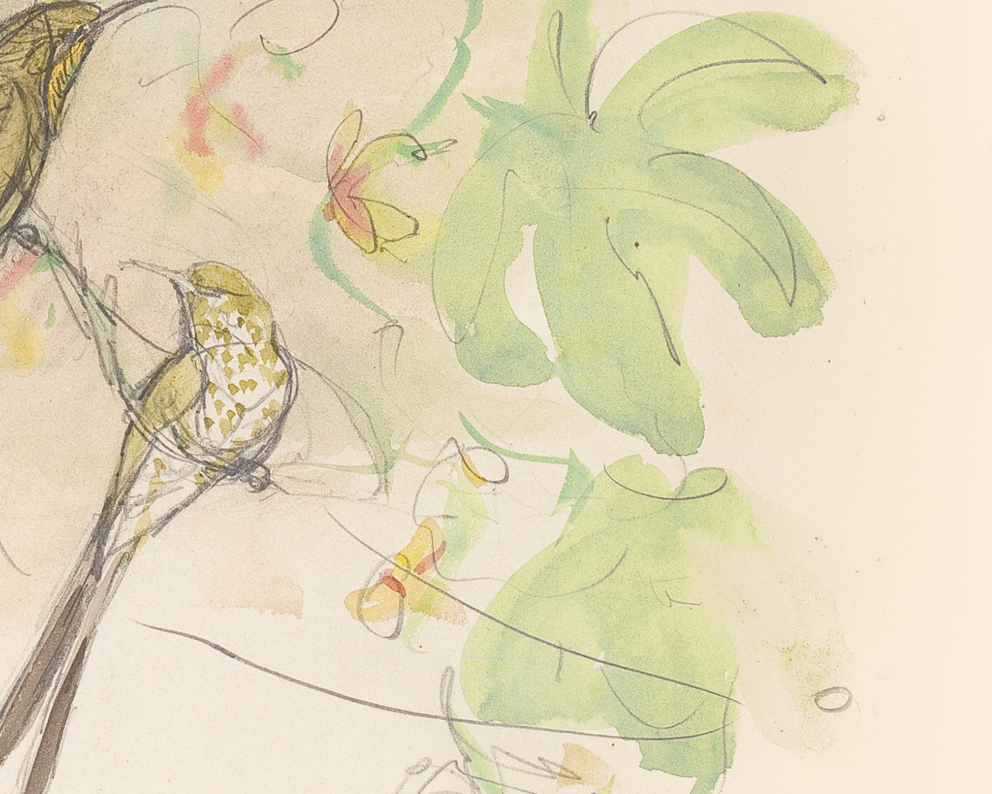 Watercolor Hummingbird Sketch Art Print #2