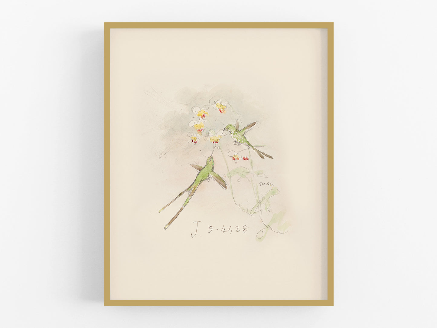Watercolor Hummingbird Sketch Art Print #1