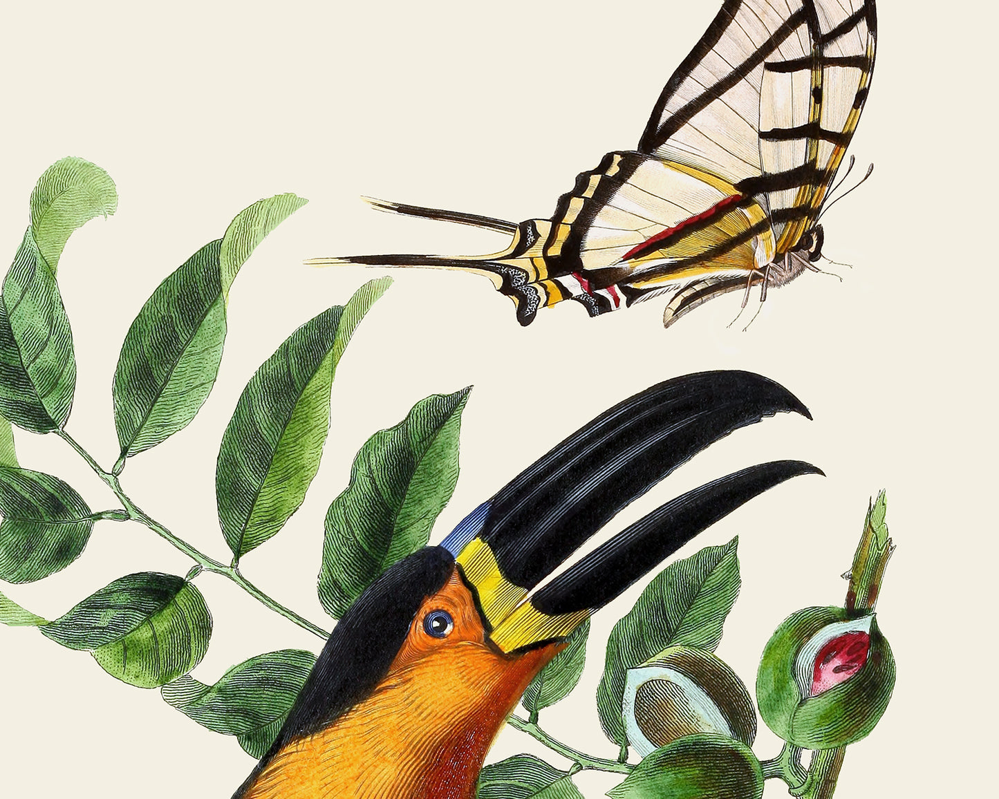 Colorful Tropical Bird Art Prints - Set of Two