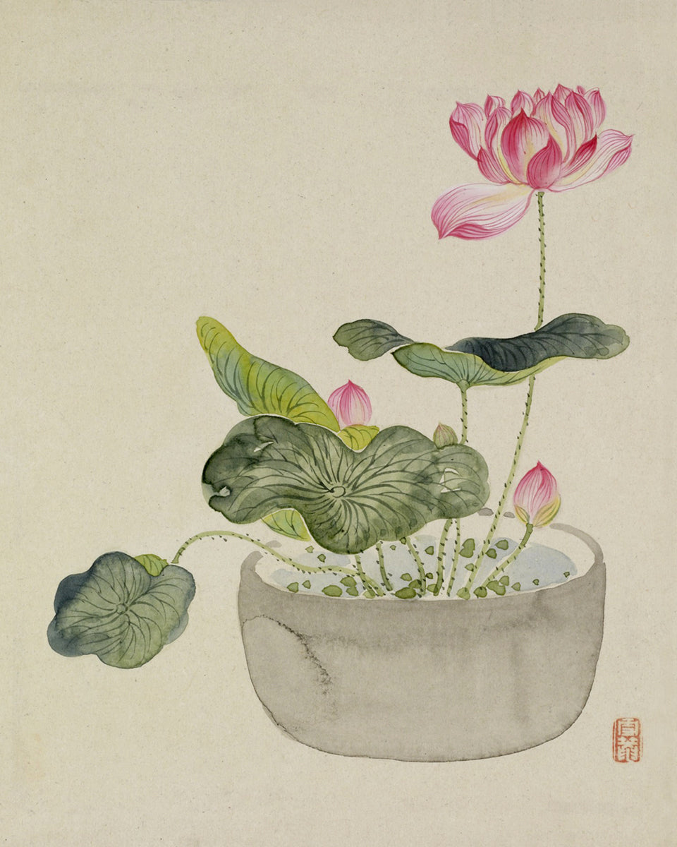 Japanese Lotus Flowers in Pots Art Prints - Set of Two