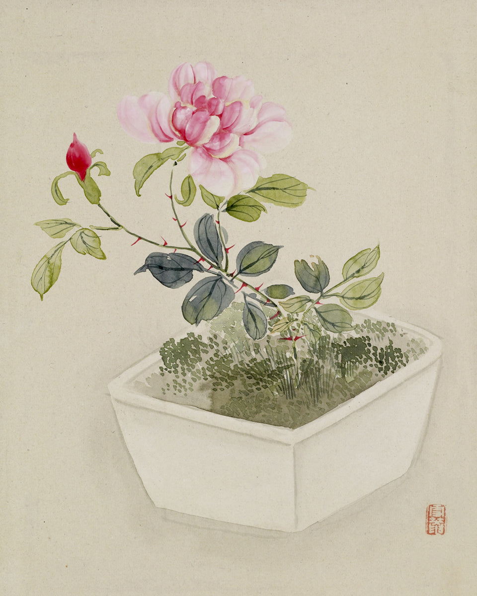 Japanese Lotus Flowers in Pots Art Prints - Set of Two