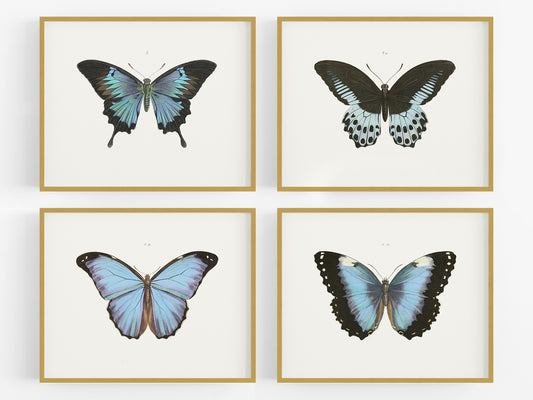 Butterfly Botanical Art Prints - Set of Four