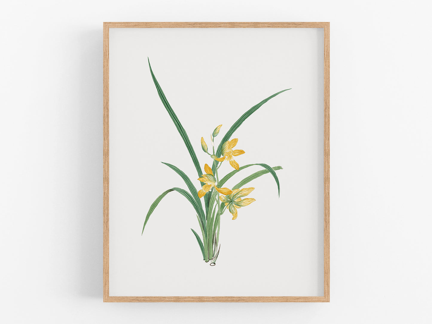 Yellow Watercolor Orchid Botanical Flower Art Print