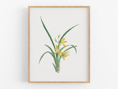 Yellow Watercolor Orchid Botanical Flower Art Print