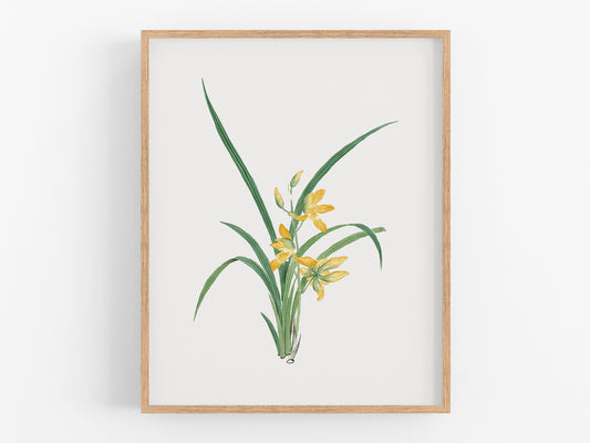 Yellow Watercolor Orchid Botanical Flower Art Print