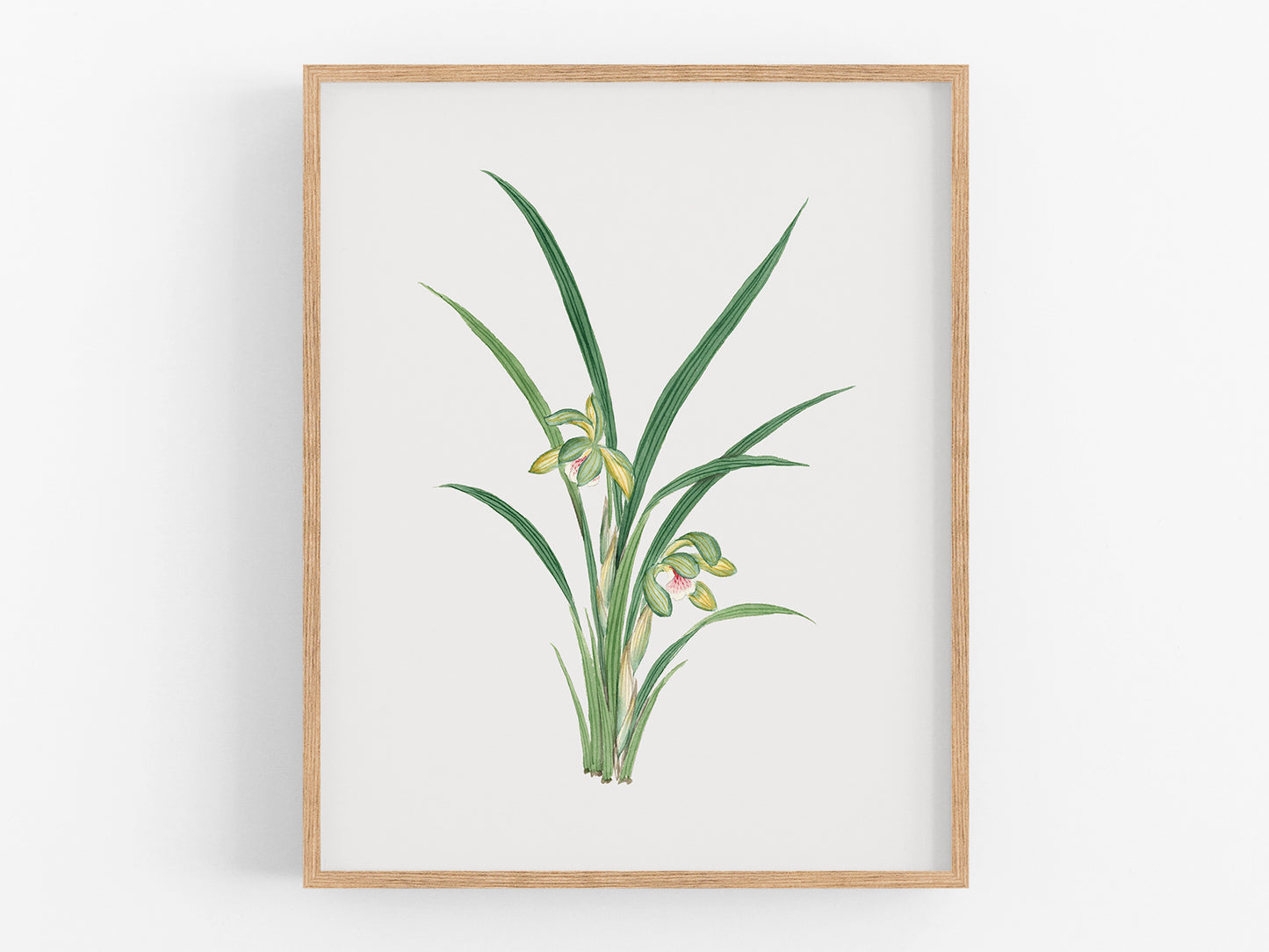Green Watercolor Orchid Botanical Flower Art Print