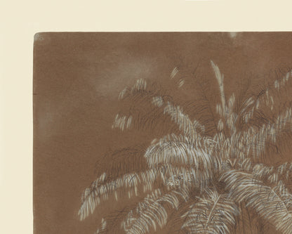 Tropical Palm Tree Sketch Art Print