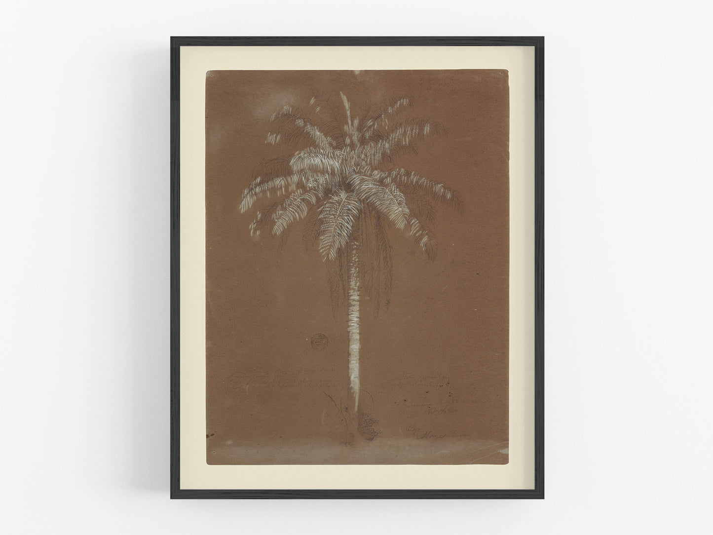 Tropical Palm Tree Sketch Art Print
