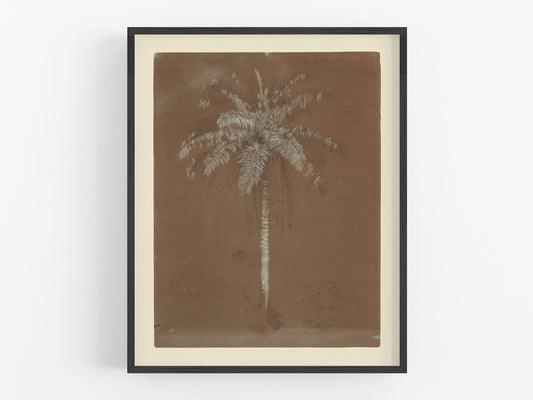 Tropical Palm Tree Sketch Art Print