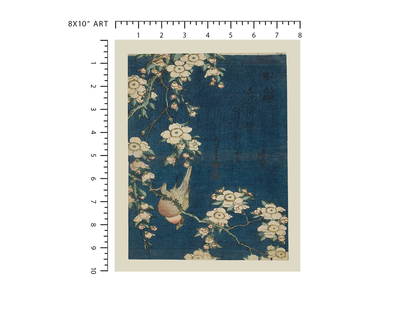 Japanese Woodblock Bird Art Print: Bullfinch and Weeping Cherry