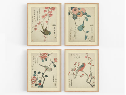 Japanese Flower & Bird Botanical Woodblock Reproduction Art Prints - Set of Four