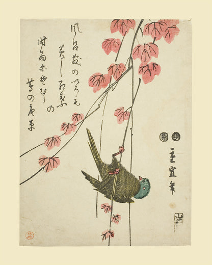 Japanese Flower & Bird Botanical Woodblock Reproduction Art Prints - Set of Four