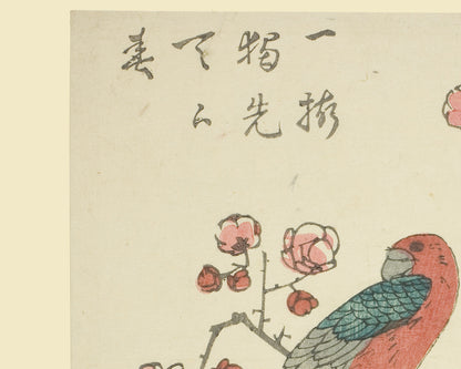 Japanese Flower & Bird Botanical Woodblock Reproduction Art Prints - Set of Four