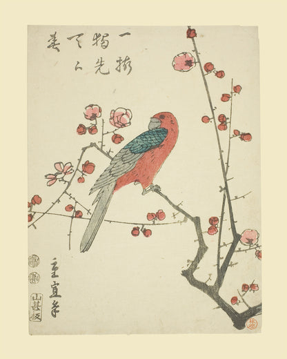 Japanese Flower & Bird Botanical Woodblock Reproduction Art Prints - Set of Four