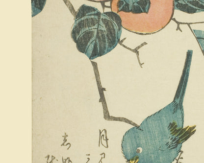 Japanese Flower & Bird Botanical Woodblock Reproduction Art Prints - Set of Four