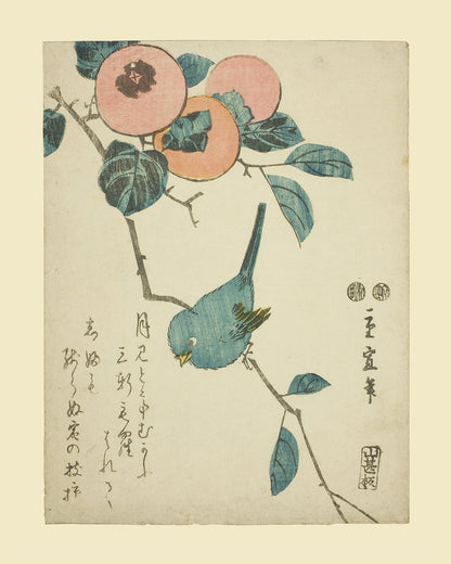 Japanese Flower & Bird Botanical Woodblock Reproduction Art Prints - Set of Four