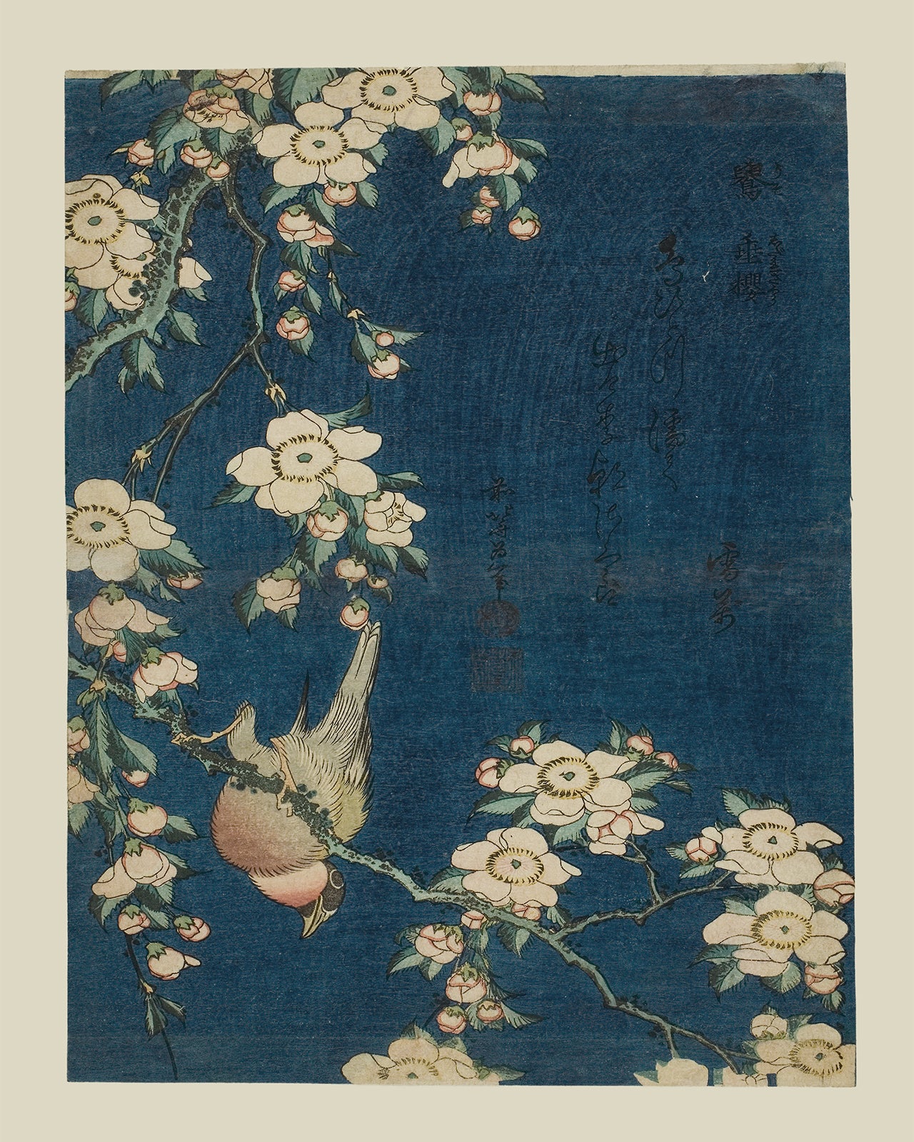 Japanese Woodblock Bird Art Print: Bullfinch and Weeping Cherry