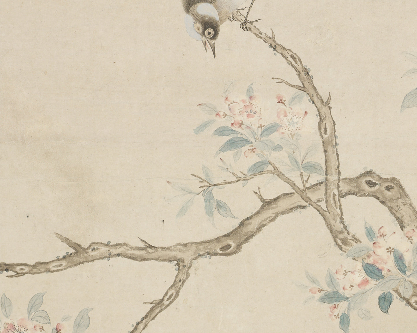 Birds in a Crab-apple Tree Chinoiserie Art Print