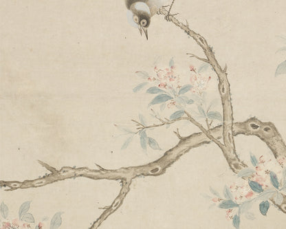 Birds in a Crab-apple Tree Chinoiserie Art Print