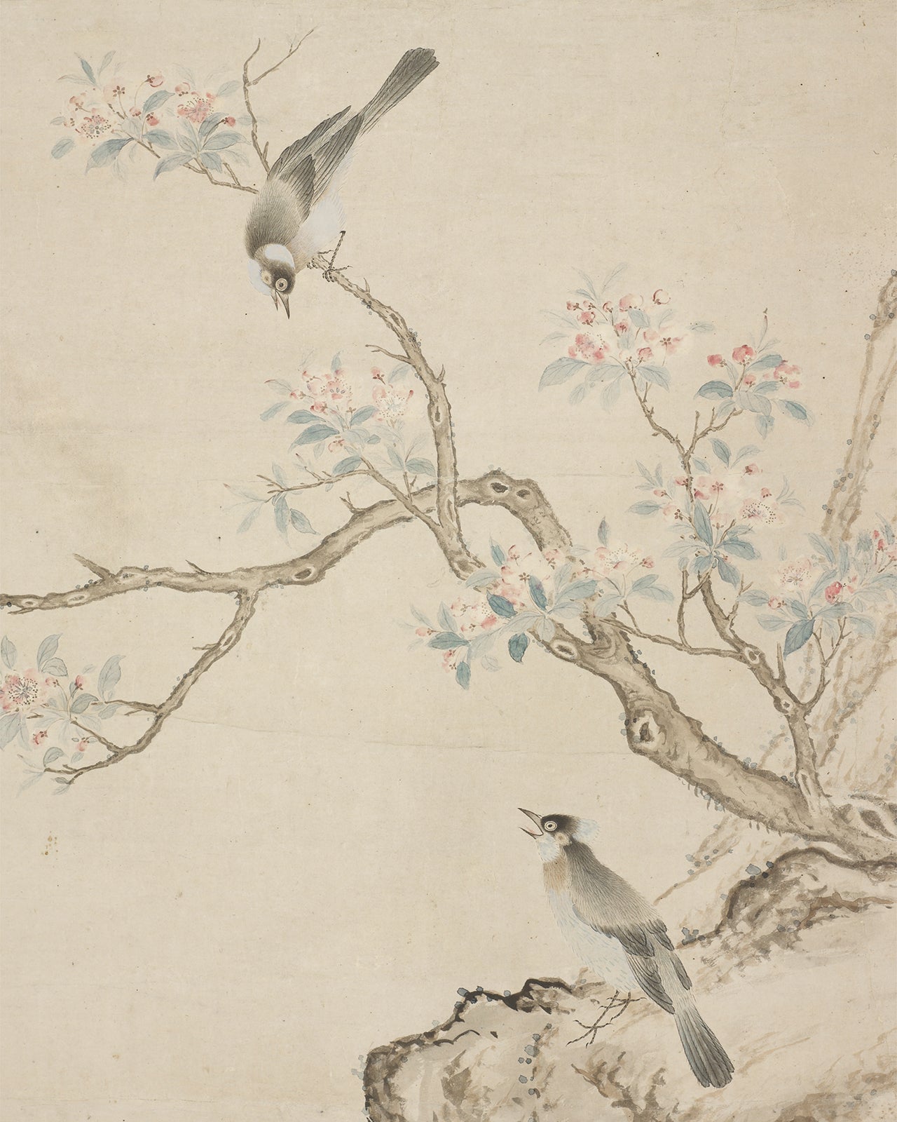 Birds in a Crab-apple Tree Chinoiserie Art Print