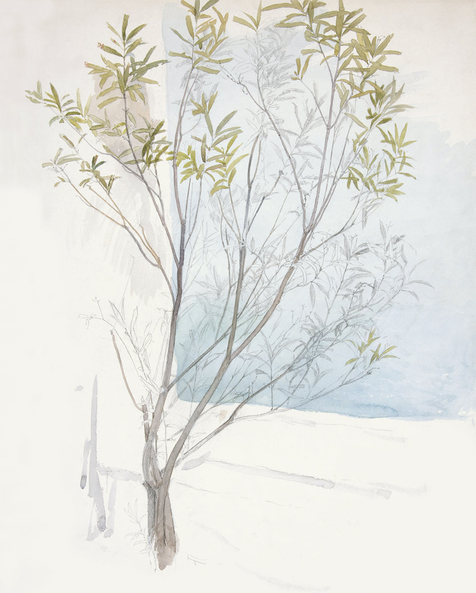 Modern Abstract Study of a Tree in Pale Blue and Green Art Print