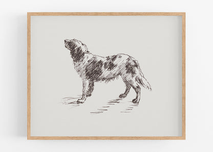 Bird Dog Art Print