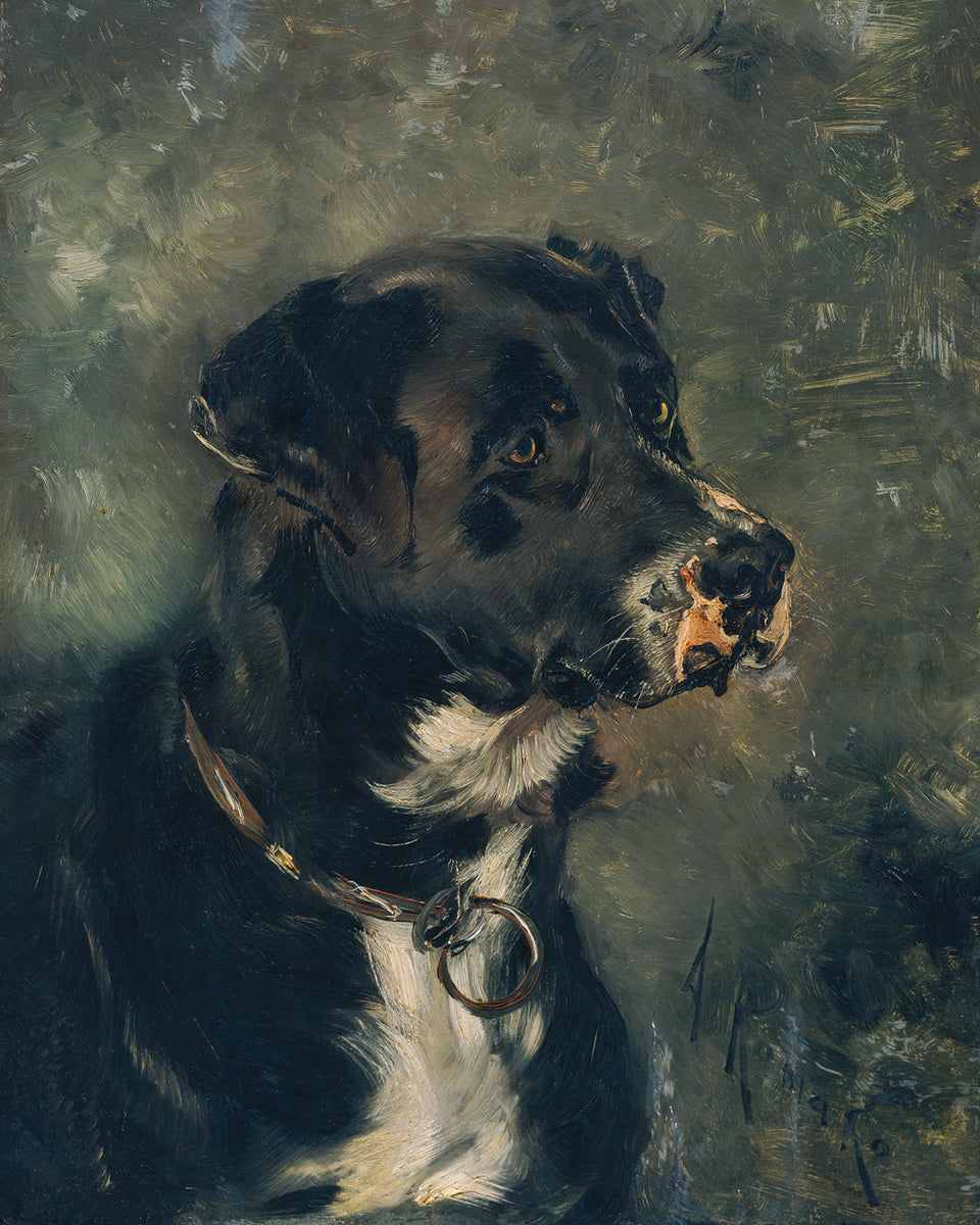 Dog Portrait Art Print