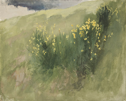 Abstract Landscape with Wildflowers Art Print