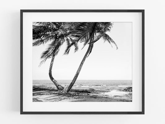 Tulum Mexico, Sian Ka'an Biosphere Beach B&W Photo Print