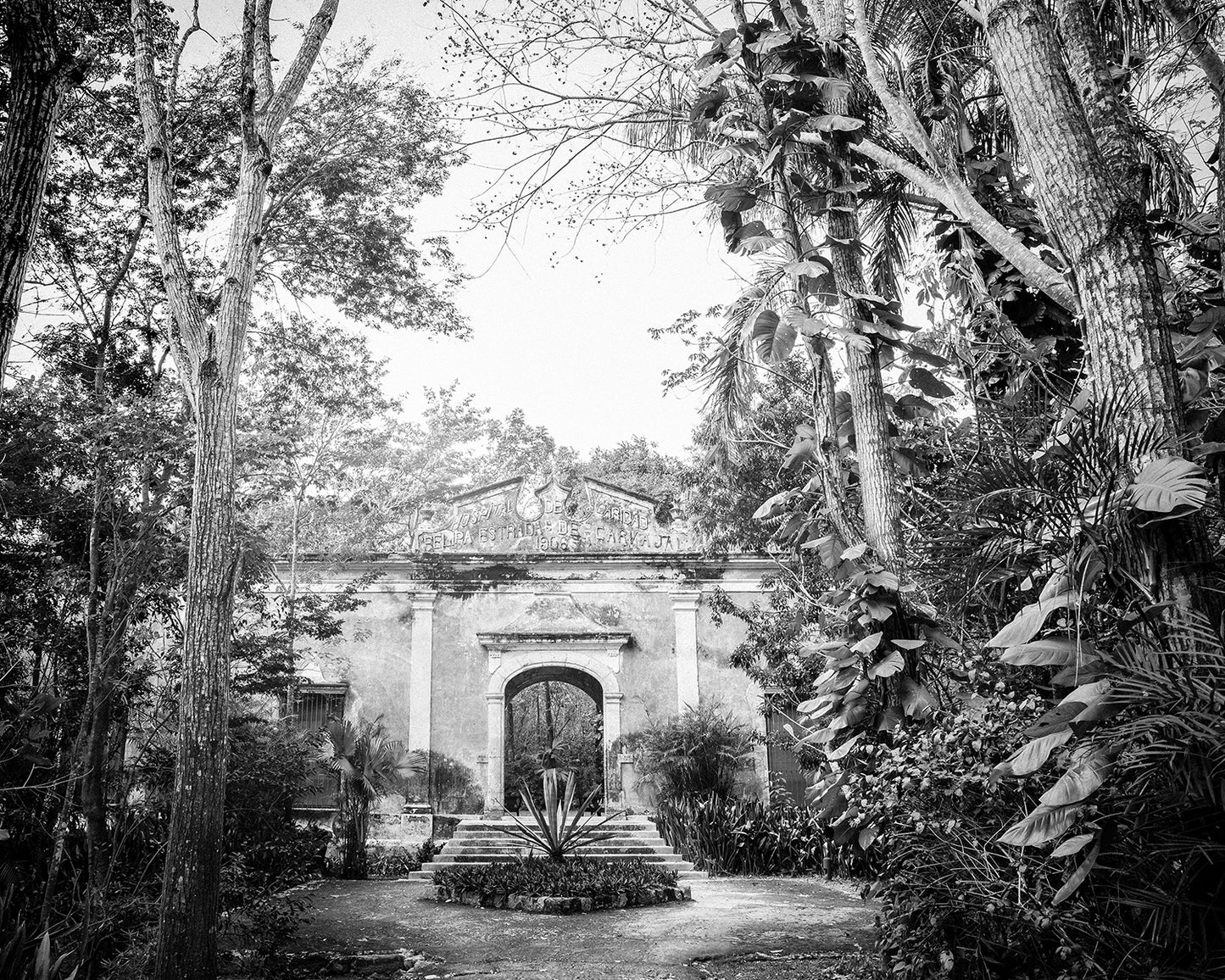 Mexico Jungle Hacienda B&W Photo Print