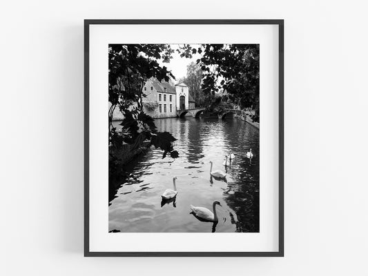 Bruges Belgium Lake of Love Swan B&W Photo Print