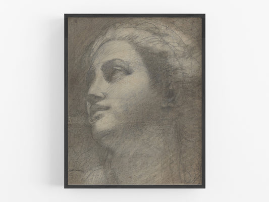 Head of a Woman Art Print