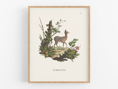 Baby Deer Art Print