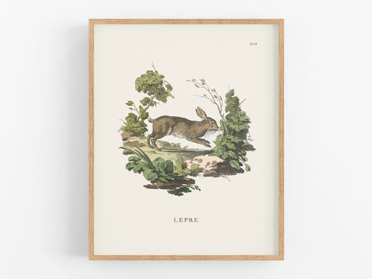 Bunny Art Print: Lepre