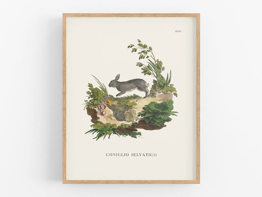 Bunny Art Print: Conglio Selvatico